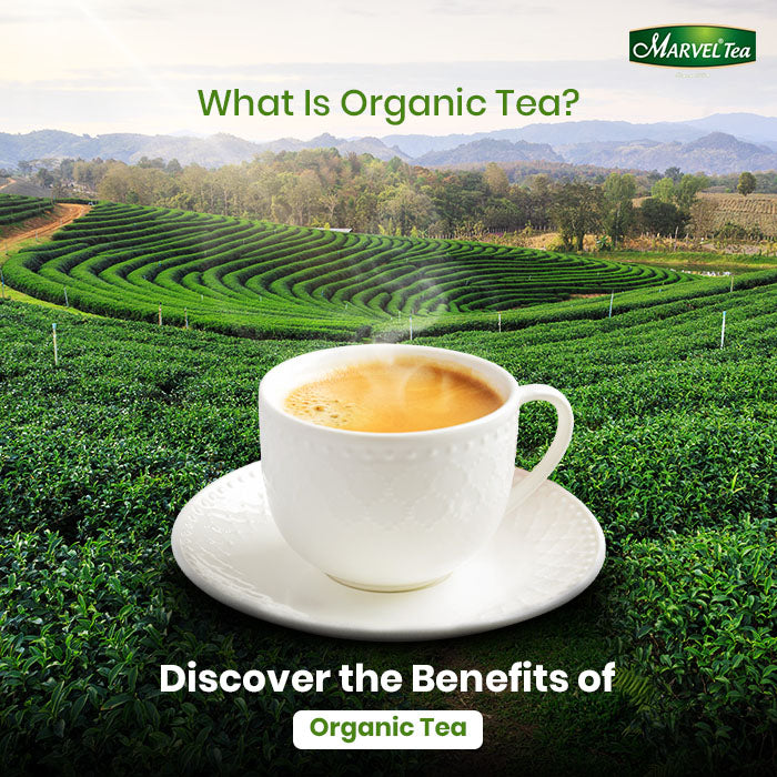 Uncovering the Wonders of Organic Tea – Marvel Tea