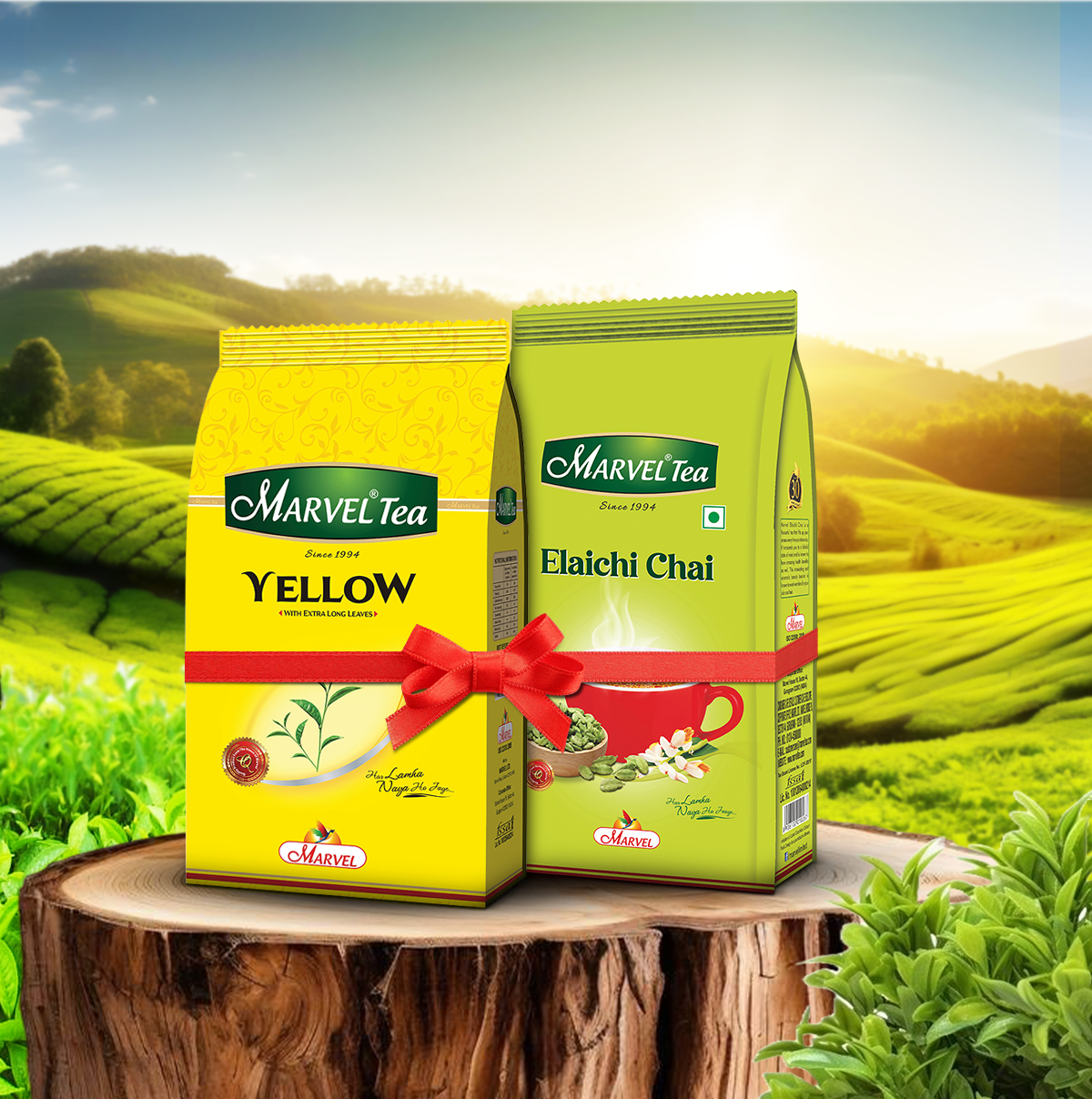 Combo Of Elaichi Tea & Yellow Tea (500 GM Each)
